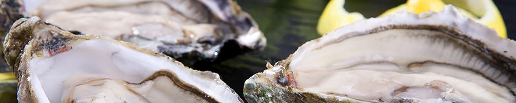 Las ostras del Eo, un lujo gastronómico